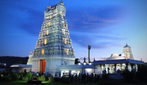 Tirupati Balaji Temple (South Indian Temple)