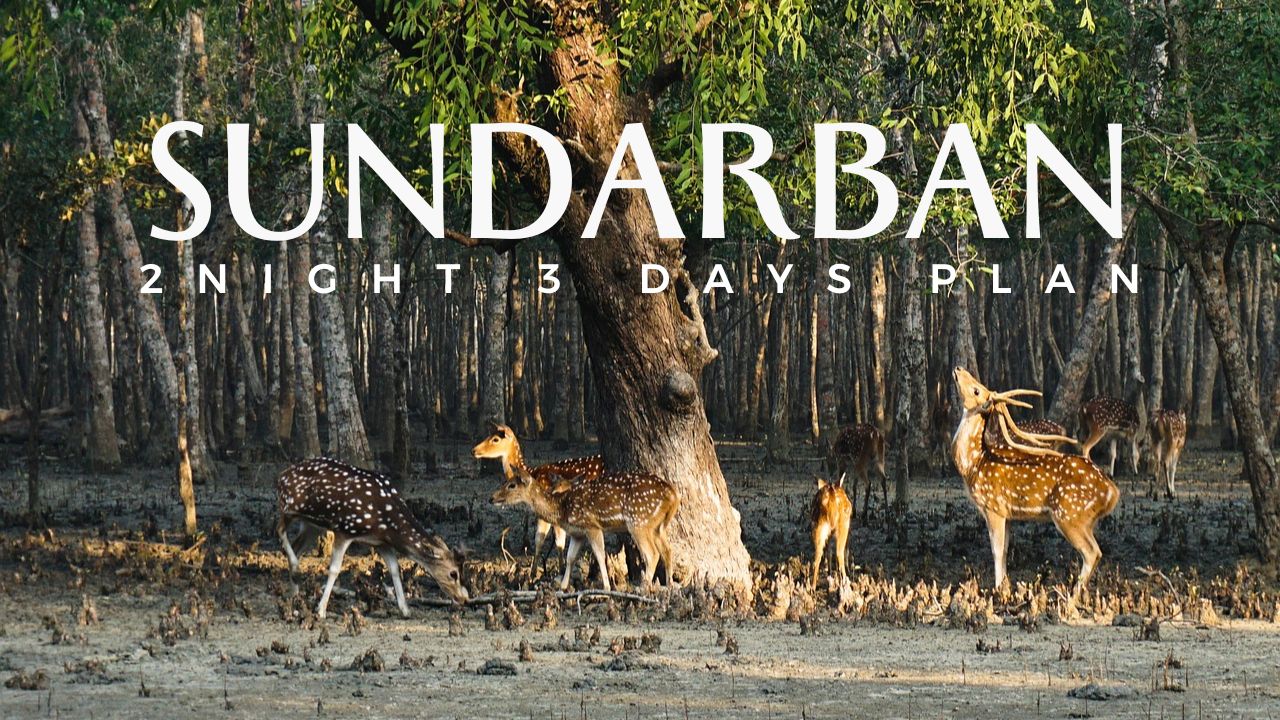 Sundarban Thumbnail