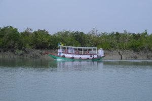 Sundarban Safari by boat