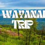 Wayanad Wonders: Unveiling The Beauty Of Kerala’s Hidden Gem | Top Places To Visit With Tour Plan |