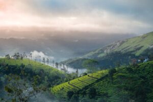 Top 5 places to visit in india, Munnar