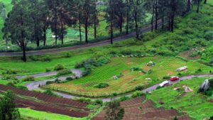 top 5 places to visit in india, Ooty